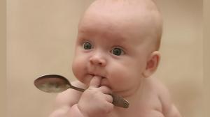 ������� �������