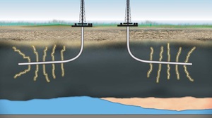 ������ �����