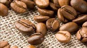 ���� � ������