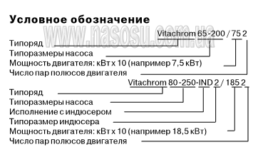 �������� ����������� ������ Vitachrom