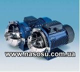 ������������ �����