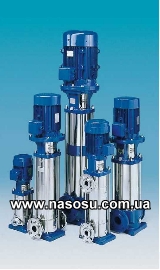 ������������ ���������������� �����