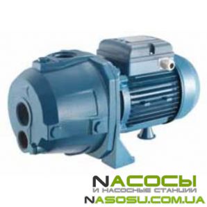 ���� �� 100