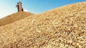 ����� � �������